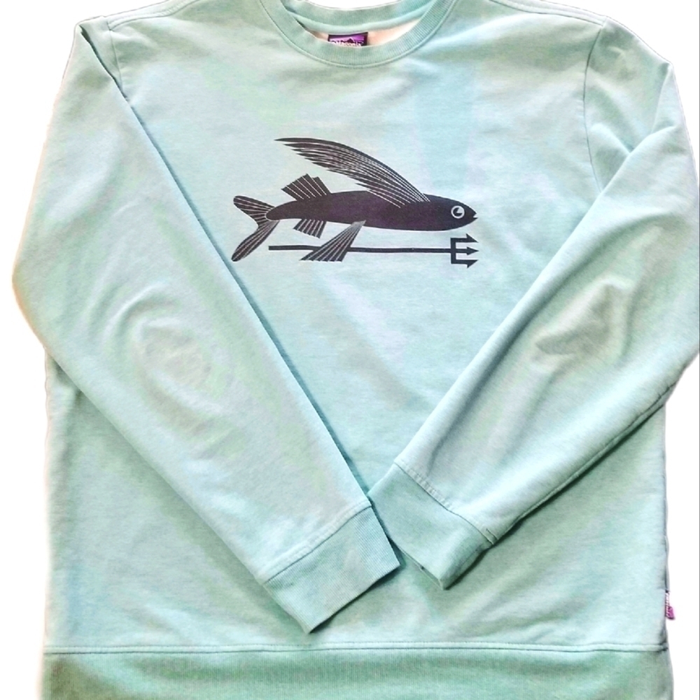 🔱 Patagonia // Organic Cotton Sweatshirt // Seafoam // Men's Large